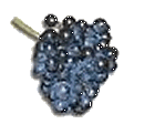 Native Grape fruit