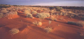 Sandy country south of Balgo