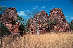 sandstone domes and boab tree
